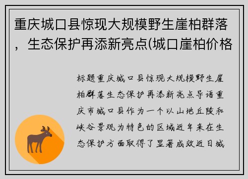 重庆城口县惊现大规模野生崖柏群落，生态保护再添新亮点(城口崖柏价格一般是多少)