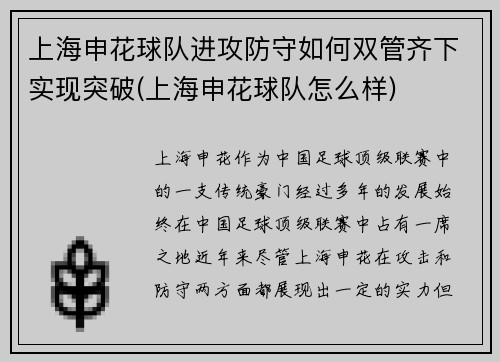 上海申花球队进攻防守如何双管齐下实现突破(上海申花球队怎么样)