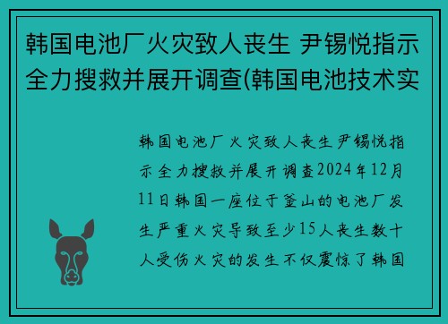 韩国电池厂火灾致人丧生 尹锡悦指示全力搜救并展开调查(韩国电池技术实力)